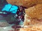 Jeff Rose in Little River Cave with a DPV with Dayo Scuba Orlando Florida