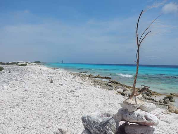 Dayo Scuba Orlando FLorida Bonaire Trip May 2017