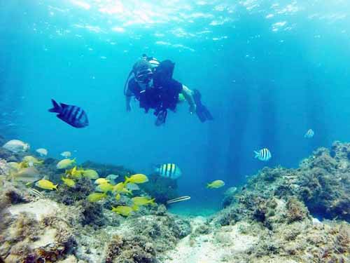 Guided Dives at Dayo Scuba Orlando Florida