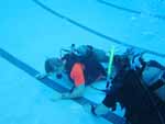 Rescue Class at Dayo Scuba Orlando Florida