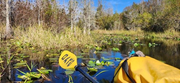 Expedition Central trip down the Suwannee River in October 2022